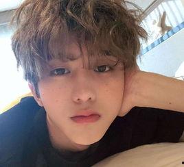 八卦爆料白鹿蔡徐坤视频,白鹿与蔡徐坤神秘视频曝光，背后真相令人震惊！