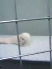 搞笑娱乐爆料大全图片,搞笑娱乐爆料大全图片集锦